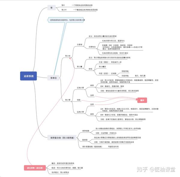 组织学与胚胎学 思维导图分享