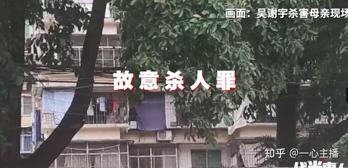 北大学子弑母案如果母亲泉下有知一定寒心彻骨