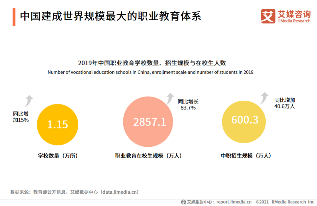 20202021中国职业发展教育现状及细分市场分析报告