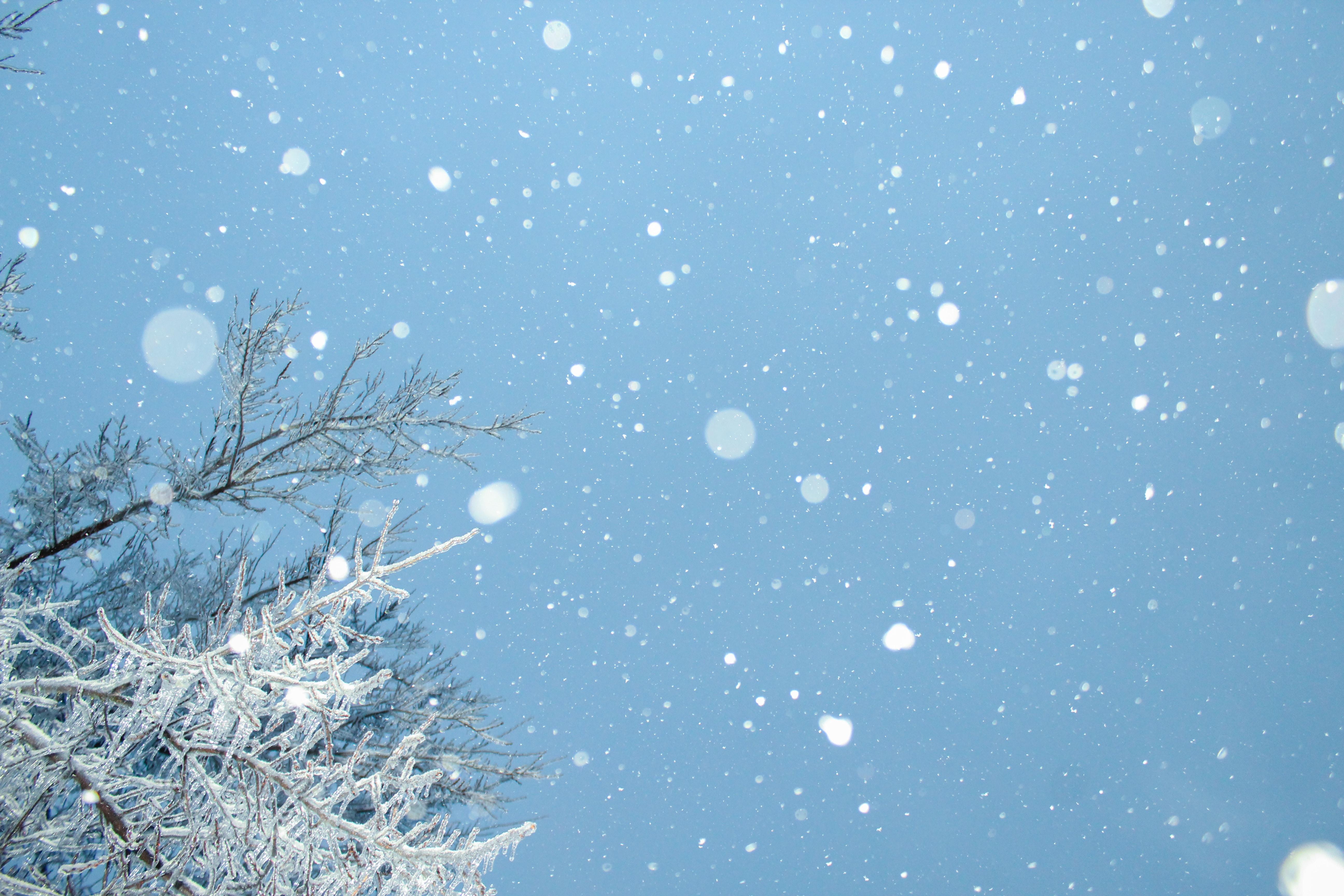 有哪些你最喜爱的关于雪的诗句