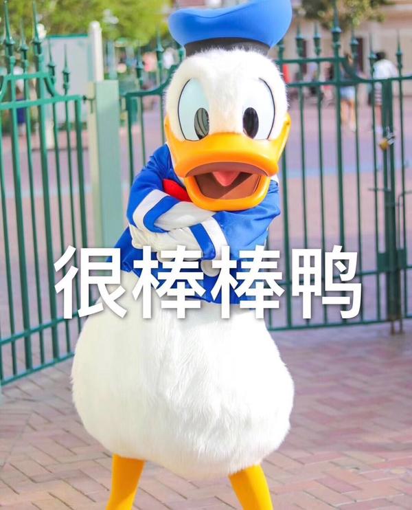 你用/买过什么很贵的东西,但是感觉很值?