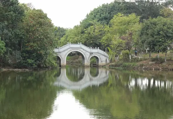 春天来了道滘蔡白湿地公园赏花约吗