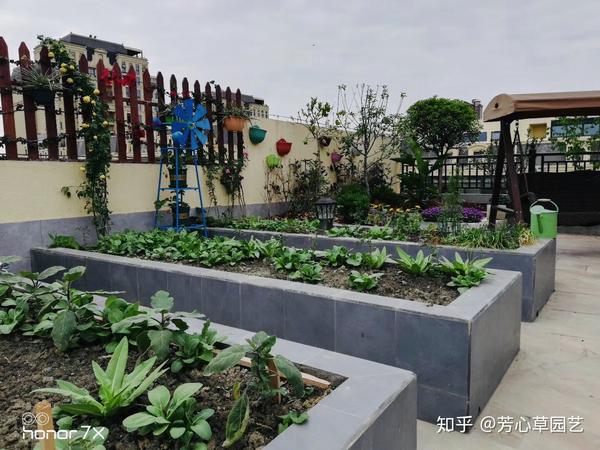 好看还能吃的蔬菜花园是怎样设计的?