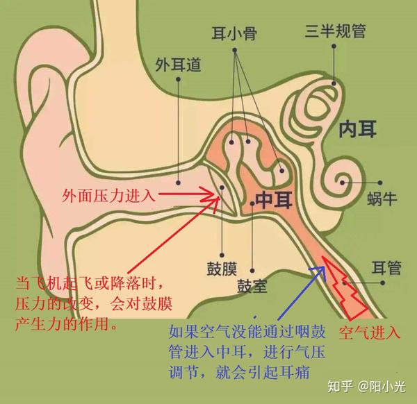 坐飞机时鼓膜的变化