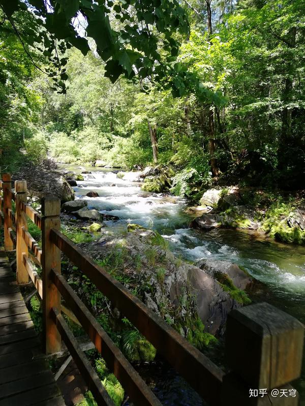 我妹妹去九道沟旅游,随手一拍给我发来,当时瞬间来感撸了张色彩