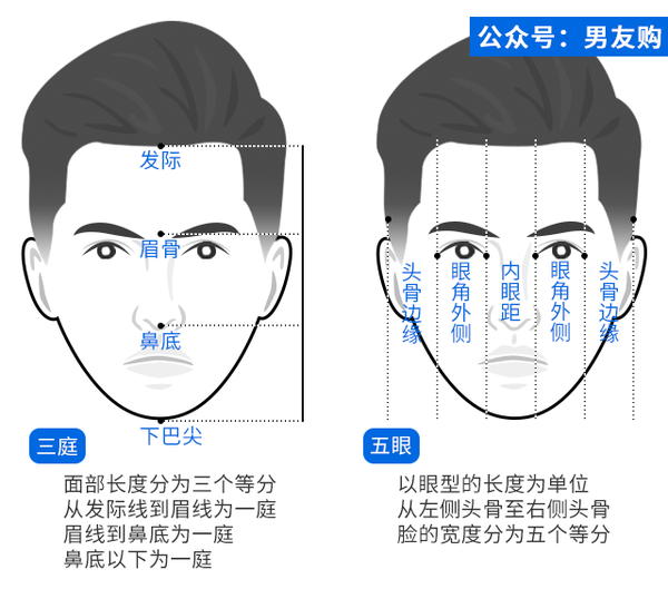理想的脸型长宽比是34:21,这一比例也正是黄金分割率0