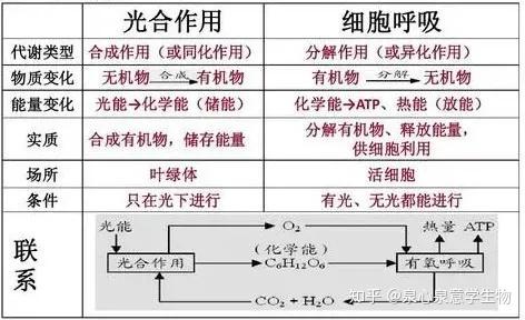 因为co2参与光合作用暗反应,在光照充足的情况下,co2增加,其单位时间