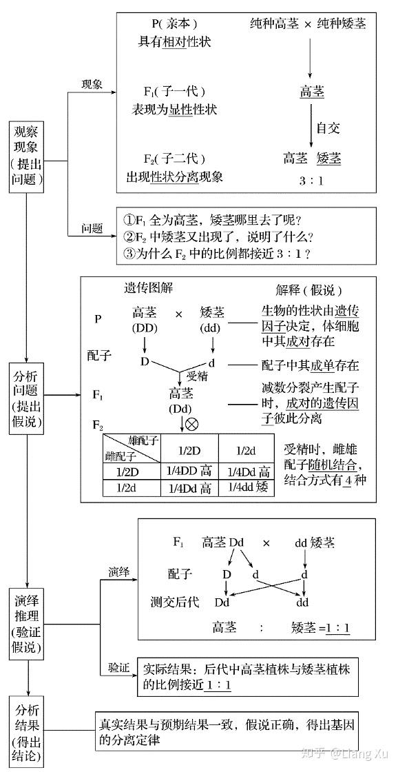 【高中生物5】怎样学好高中生物遗传?