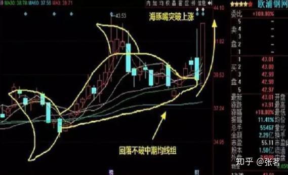 持股一旦出现"海豚起跳"形态,短线黑马即将奔腾而出