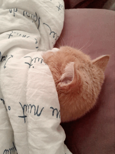 有什么适用于和老公/男票撒娇的可爱表情包?