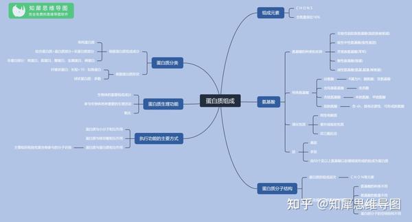 高中生物必修一思维导图蛋白质组成高中生物脑图