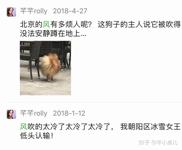 我曾经跟朋友吐槽过无数次,说我宁可要3个雾霾天,也不愿意要1个大风天