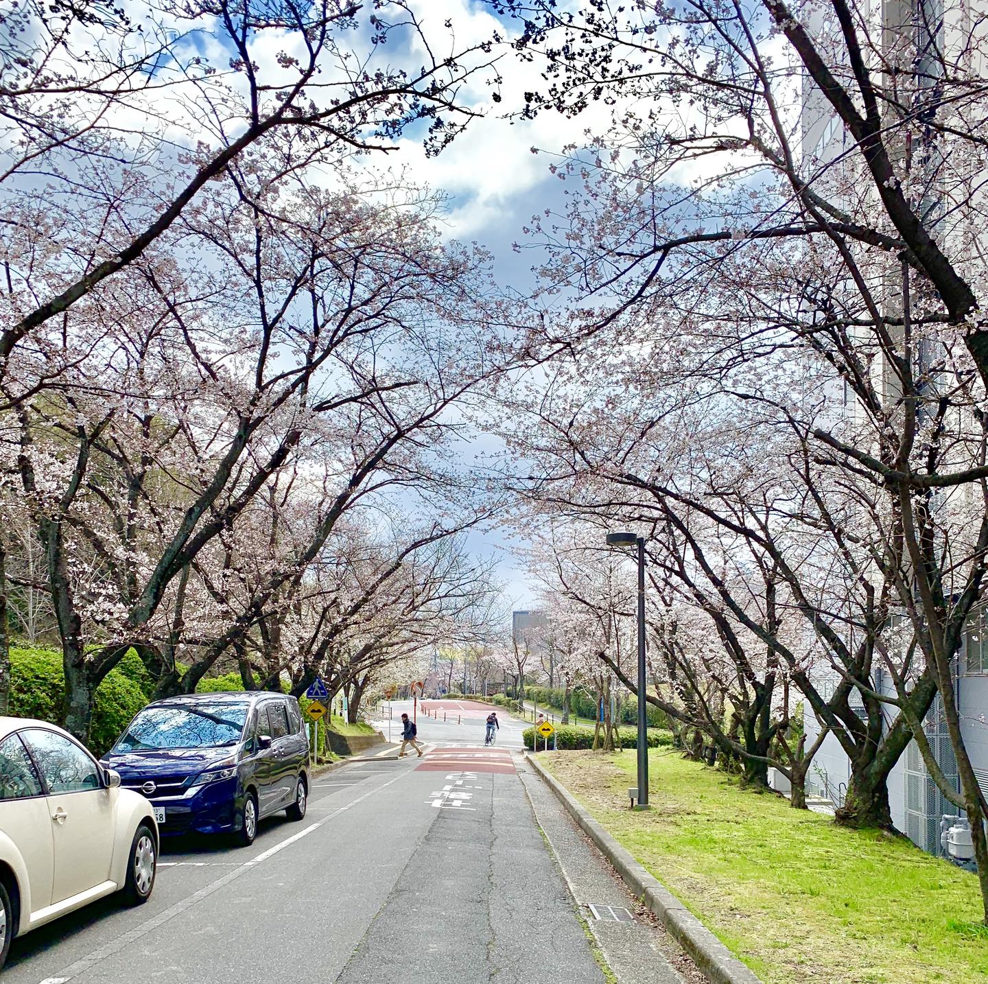 大阪大学新生生活指南