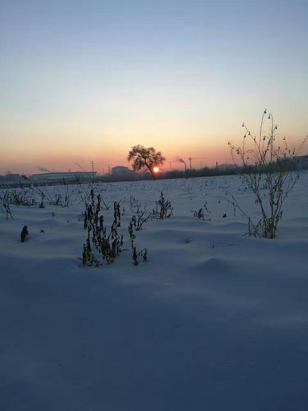 雪景佳木斯