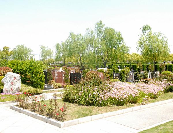 8万起 枫泾公墓位于金山区枫泾镇,价格9万起 海