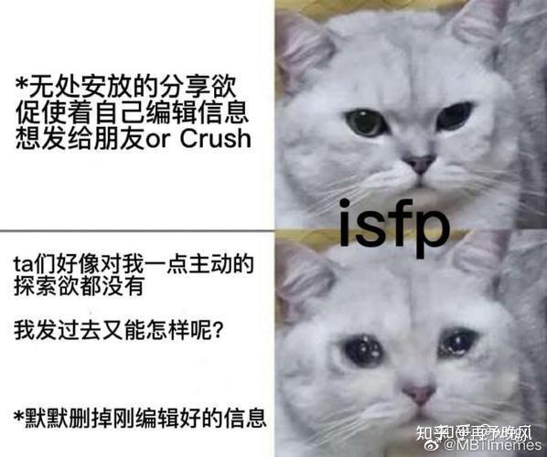 男isfp很少吗你们身边的男isfp是什么样的