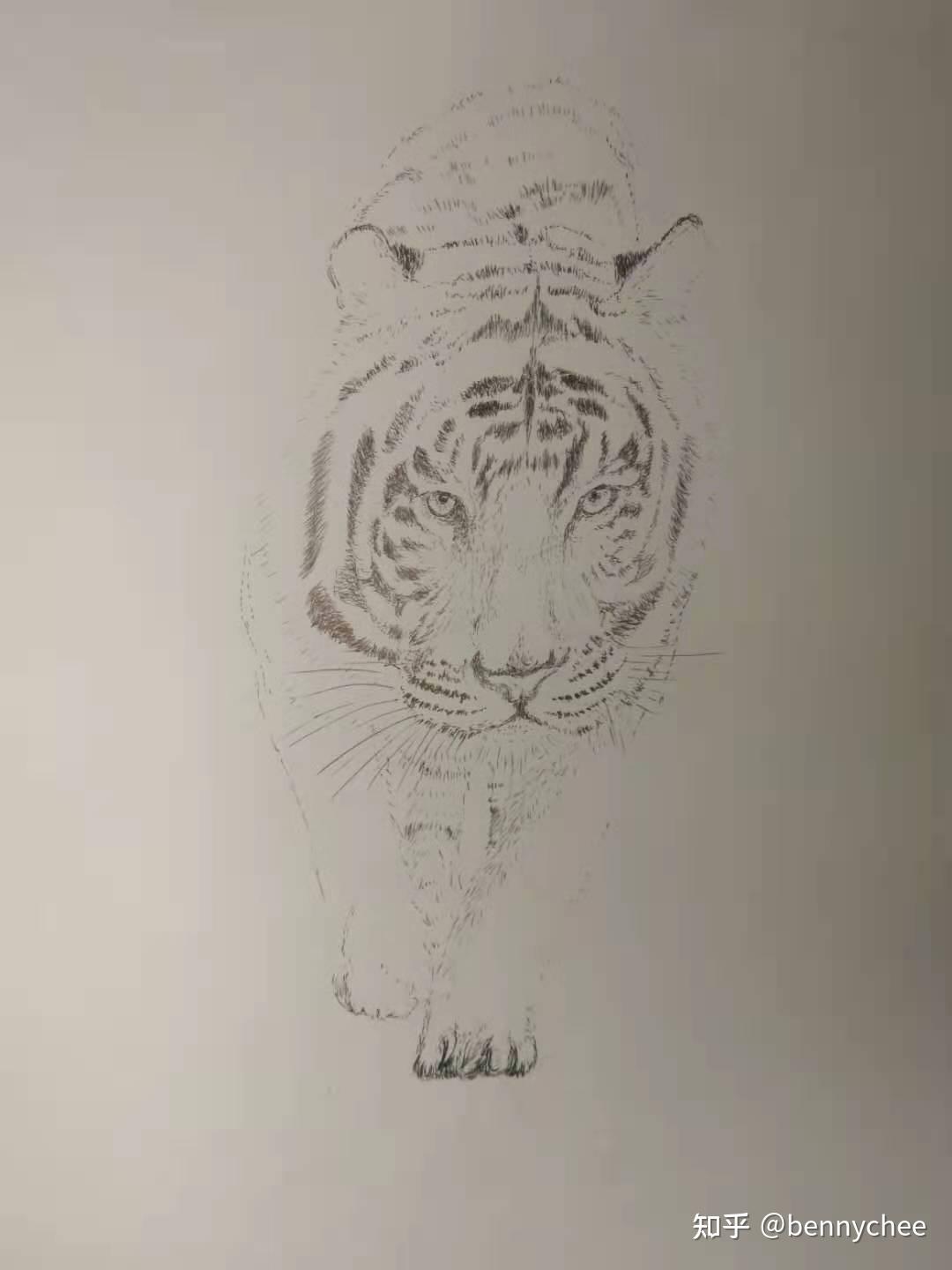 心无猛虎,安静如处子,心不浮躁,可以一笔一笔画出自己认为美的东西