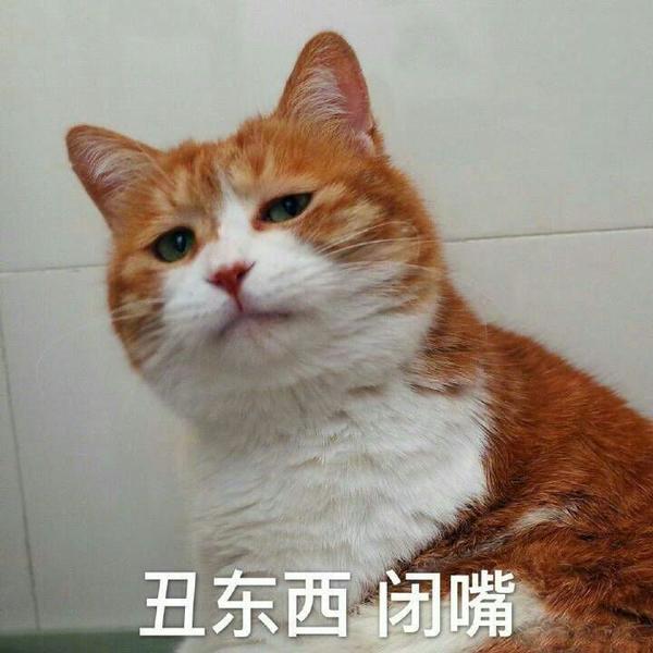 有最近流行的表情包吗?