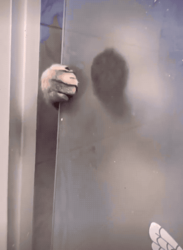 他家的猫特别爱偷罩罩,如果不是他拍下视频,都不知道该怎么向邻居解释