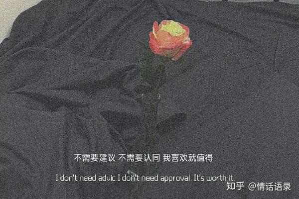 活成自己喜欢的样子,没必要讨好别人