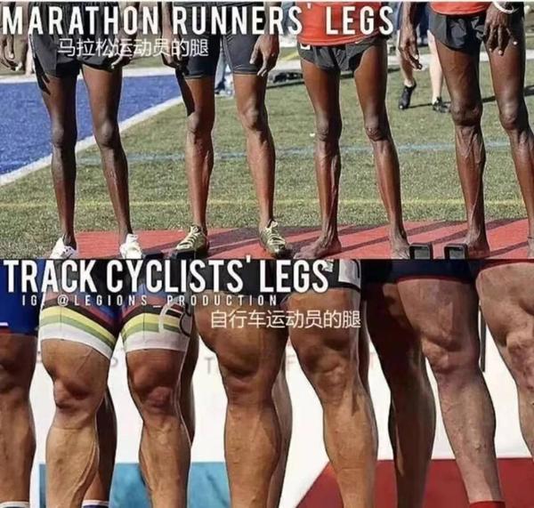 更远,如我们所见:马拉松运动员都是精瘦型的,短跑运动员都高大肌肉