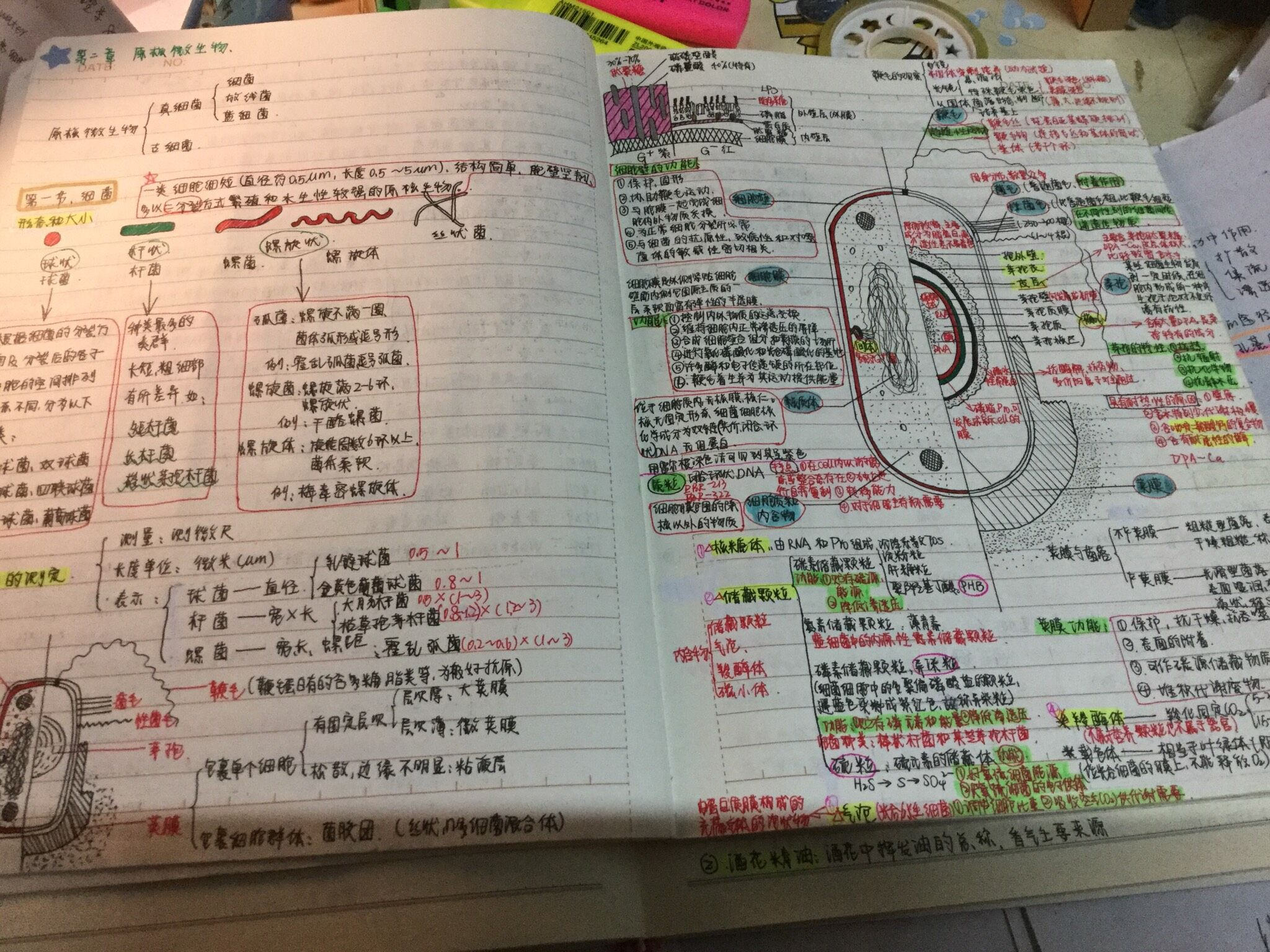标准学习中跳远是到底睡眠好还是充足的学习高中高中女生熬夜图片