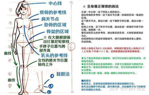 「推荐」2000字超详细教你如何画人体!闲着也是闲着,学起