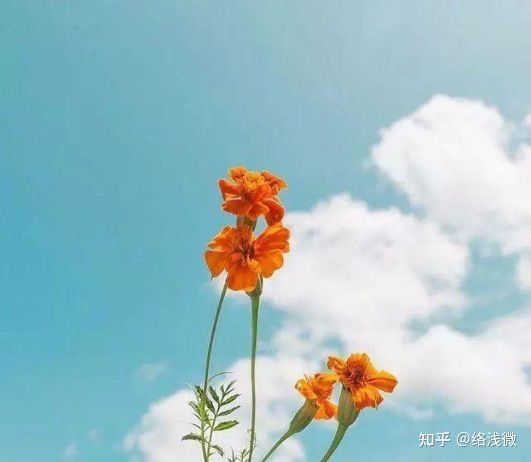 职场中如何保持快乐的心态有哪些实用小技巧