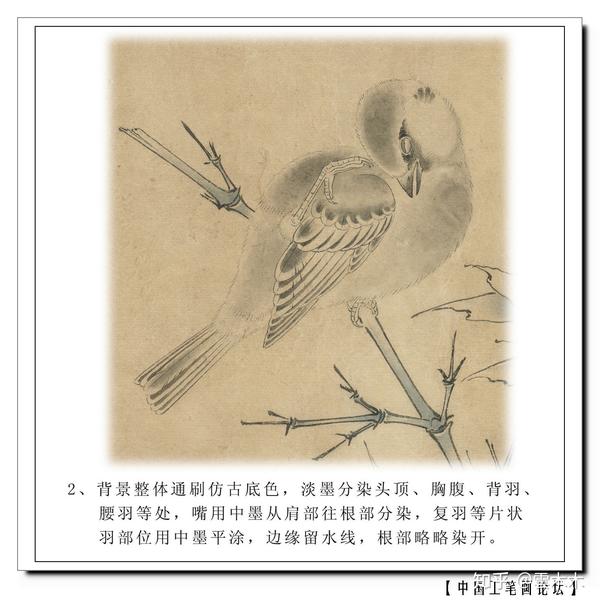 宋小品《竹雀图》工笔,绘画步骤图