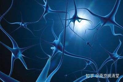 神经紊乱症 zhuanlan.zhihu.com