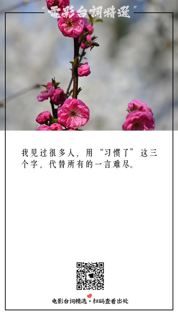 我见过很多人,用"习惯了"这三个字,代替所有的一言难尽.