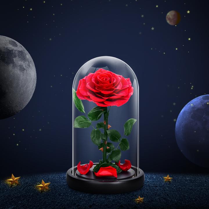 小王子的玫瑰永生花礼盒玻璃罩|520情人节生日摆件礼品