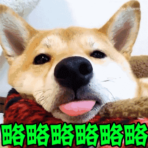 有哪些超级可爱的柴犬的表情包?