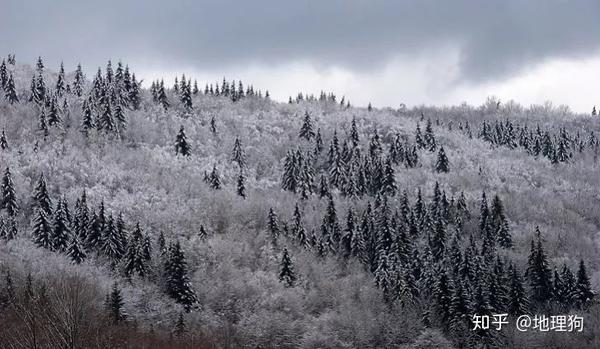 冰雪奇缘什么寒温带针叶林气候