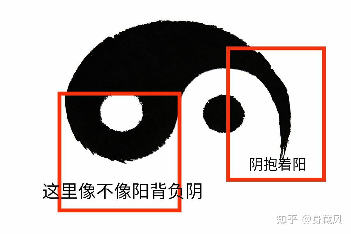 道德经讲万物负阴而抱阳可现实是完全相反的各位怎么看