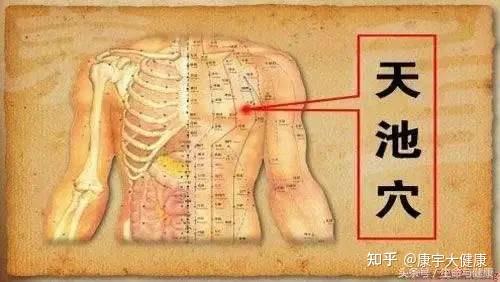 预防慢性病提高人体血气能量的一式三招