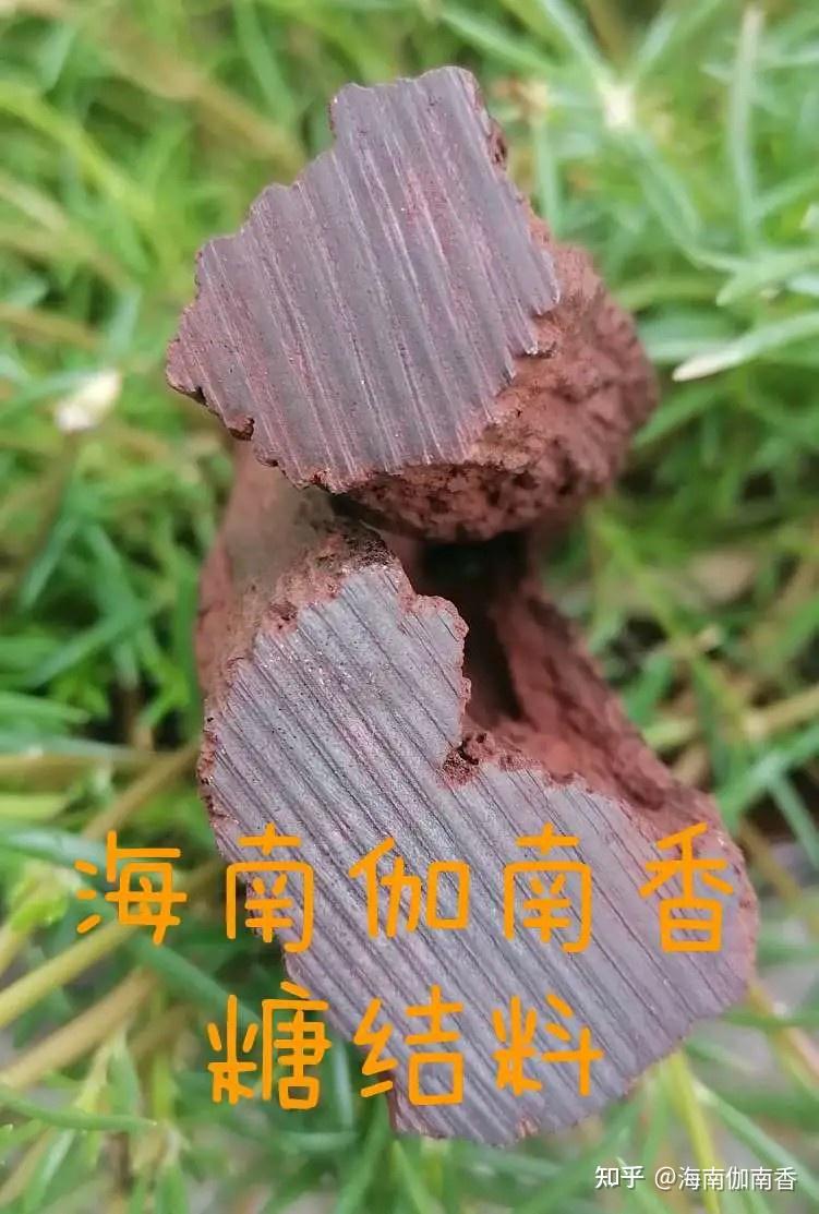 海南伽南香谁玩谁喜欢的含义