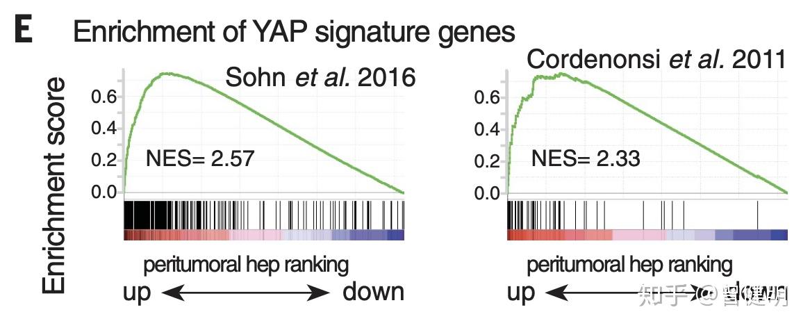 Rna Seq