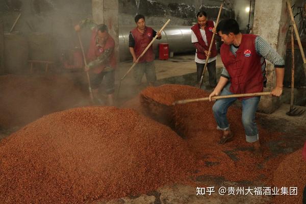 需经过两次投粮,九次蒸煮,八次发酵,七次取酒.所以称为12987工艺.