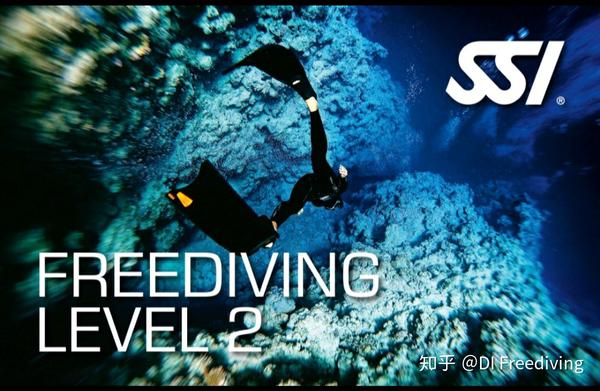 padi: free diver&advanced(自由潜水员)(深度10米) ssi: level 2