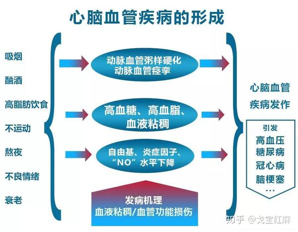 高血压一般是由什么原因引发的?诱因是什么?