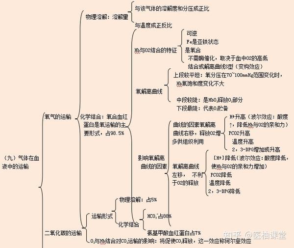 29. 气体在血液中的运输