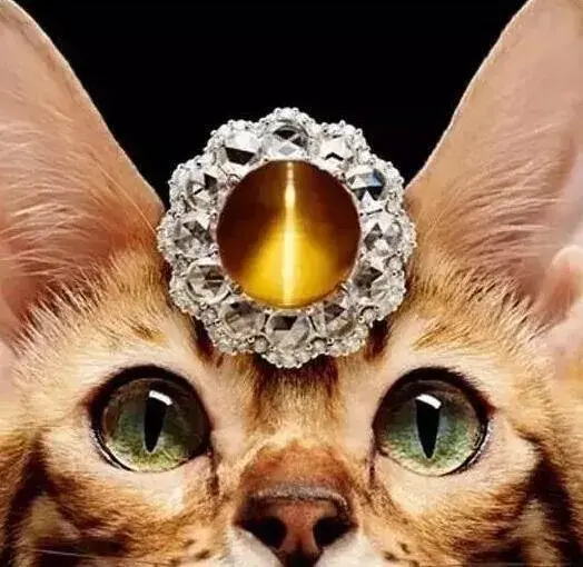 这是一篇关于猫眼石的干货