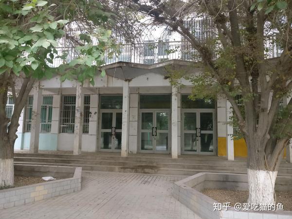 在塔里木大学就读是一种怎样的体验?