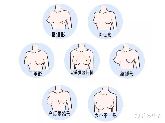 每个人都有着自己独一无二的胸型,黄金比例的胸型虽罕有,但是多多
