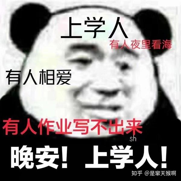 【小熊猫读书人表情包】晚安读书人!沙雕可爱表情包!