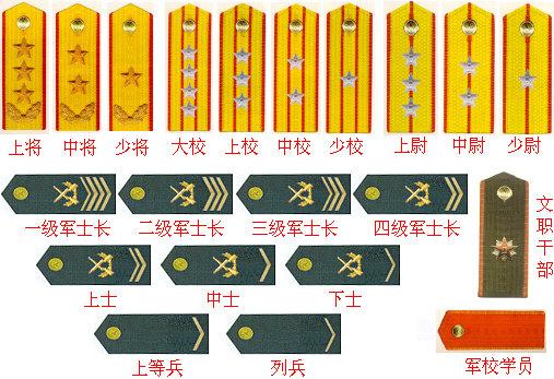 仅从军衔标识和资历牌即可区别军官级别