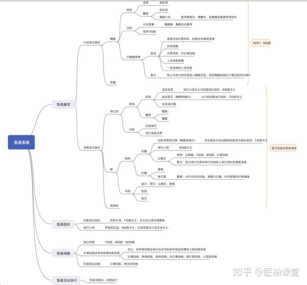 组织学与胚胎学 思维导图分享