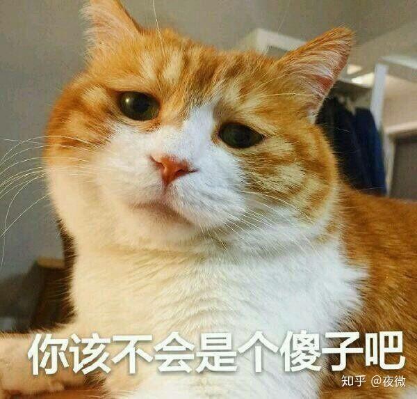 有哪些可爱/搞笑的猫狗表情包?
