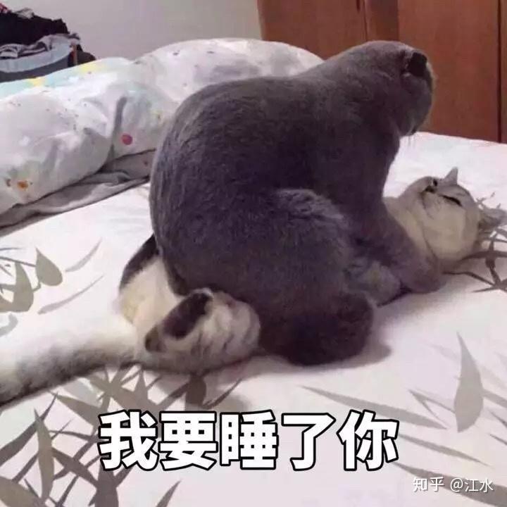 有哪些看上去是在开车但你却没有证据的图或者表情包
